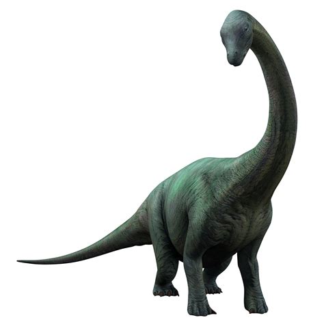 jurassic world wiki|jurassic world wiki apatosaurus.